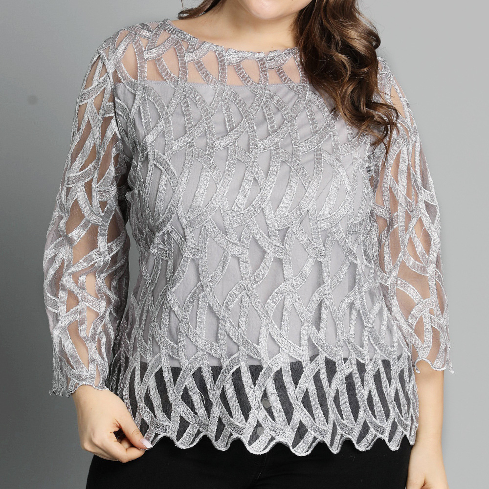 Ruffled Pullover Lace Shirt